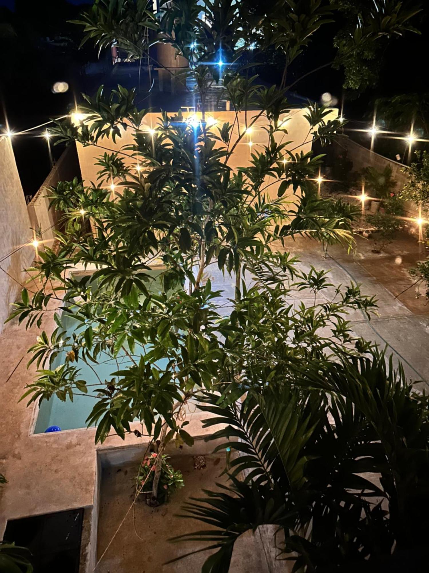 Departamento 48 Street Διαμέρισμα Βαγιαδολίδ Εξωτερικό φωτογραφία